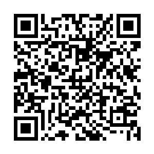 这里就是天元大陆十大守护家族之一的长阳府所在之地二维码生成