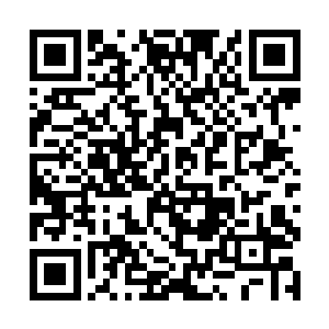 这里就算是我在这个世界上开辟的第一个洞府吧……二维码生成