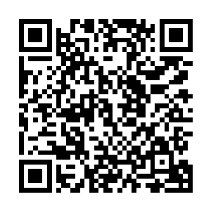 这里居然已经一个九重天门或者无为剑宗的弟子都没有了二维码生成