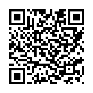 这里已经很久很久都没有人打架了二维码生成