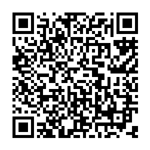 这里并不是世人每晚从新闻里了解到的那个被战争蹂躏得满目疮痍的伊拉克二维码生成