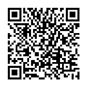 这里应该就是专门培养地球里有潜质的那些普通人的场所了二维码生成
