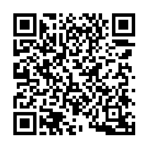 这里或许又会发生更加残酷惨烈让人无法置信的厮杀来二维码生成