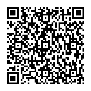 这里所有的事情都交给了荣林雨安来处理自己带着那贴生的金钵迅猛地飞上了墨色之空二维码生成