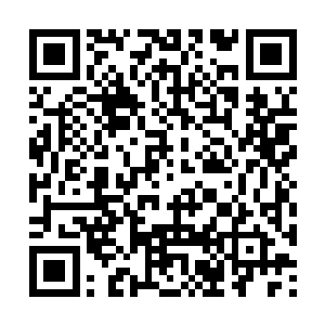 这里明明就有一个超级呵护疼爱女主的父亲大人在二维码生成