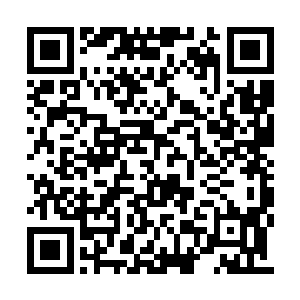 这里是一处大概面积达到了四五平方公里的区域二维码生成