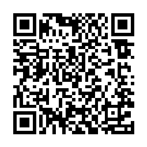 这里是他第一次遭遇疑似梦魇之王分身的独眼猫头鹰二维码生成