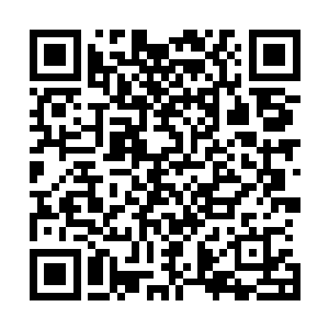 这里是本年度诺贝尔医学与生理学奖获得者杨锐先生的祖国二维码生成