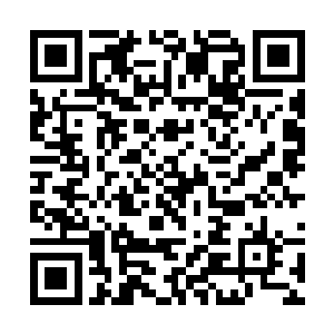 这里是风雨狱星盗团最初突袭大角铠师团的苍龙星域二维码生成