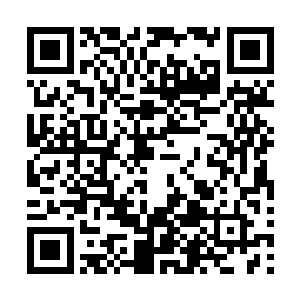这里来渡假的别说是语镌这么大的就是一岁多的也淹不着儿二维码生成