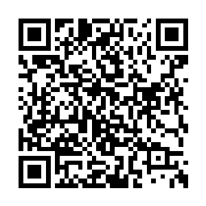 这里每年都有成千上万的刺荆鲨从四面八方游来二维码生成