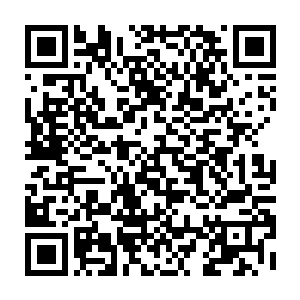 这里的一切都是用完全被人当做垃圾焚烧的玉米秸秆作为生产出来的之后二维码生成