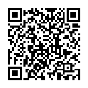这里的一切都还能看到当年殖民者对黑奴的残忍和压榨二维码生成