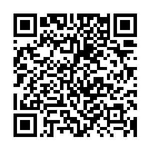 这里的一大片强大存在在短时间内都不会有心思顾及其他地方二维码生成