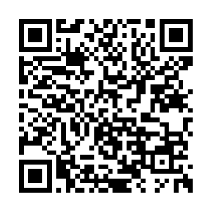 这里的书不是为你准备的难道还是为我准备的吗二维码生成