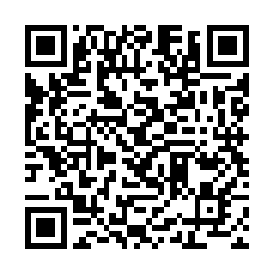 这里的人没有人相信许紫烟会是一个蓝级六品制符师二维码生成