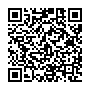 这里的人类部族大概多多少少都受过食人蜂的袭击和捕食二维码生成