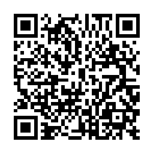 这里的传送门是专门给四年级优秀毕业生设立的捷径二维码生成