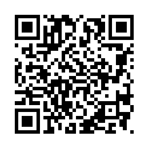 这里的几十个人基本上除了几个顶尖的新人二维码生成