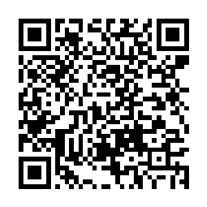 这里的原住民们对血色荒原自然形成的怪物很熟悉二维码生成