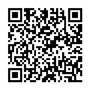 这里的天气全年都不冷现在工人们就住在沙滩上搭的帐棚里二维码生成