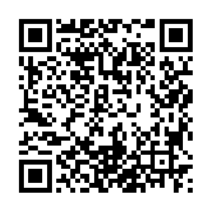 这里的威压应该能压制半步生死境强者之下的武道之人二维码生成