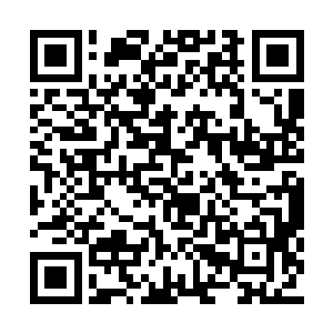 这里的守卫头领也会第一时间通知其他势力的王二维码生成