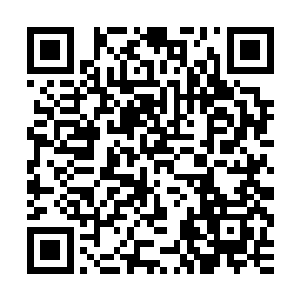 这里的小草不同于李耀在任何一个星球上见到过的任何一种植物二维码生成