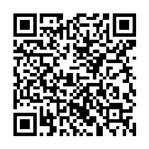 这里的幽眼紫蛛绝大部分都是死于南宫流云的雷球之下二维码生成