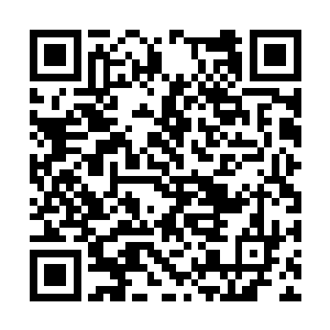 这里的强者都是对武英奇日后的统治大有用处的人二维码生成