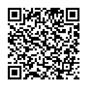 这里的房子建筑可怕都被泯灭在这强横的力量之下了二维码生成