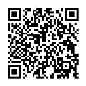 这里的所有保镖或者杀手都是本地的常驻人员对吧二维码生成