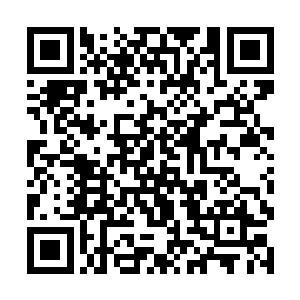 这里的旋转木马做工可是用正儿八经的橡木雕刻而成二维码生成