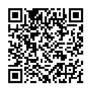 这里的时间流速应该和他说来的那个世界差不多二维码生成