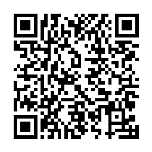 这里的每一寸领地都是梦妖自身的精华与原本的地形融合二维码生成