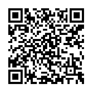 这里的每一颗都能让他们恨不得将心掏出来给你二维码生成