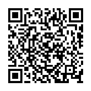 这里的浓度差不多已经恢复到了外界的平均数值二维码生成