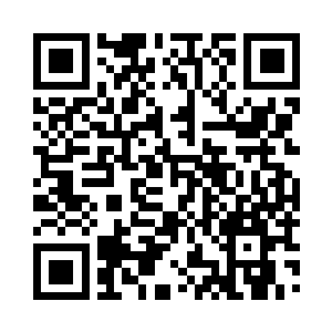 这里的海洋生物我倒有一大半是不认识的二维码生成