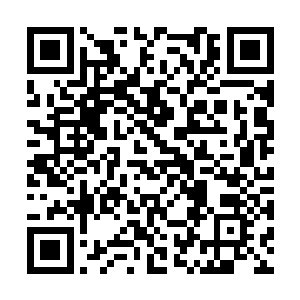 这里的湖水也是魂珠和血珠释放出来的仙元力造成二维码生成