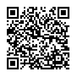 这里的溪水当中的毒素含量比之前肯定是要浓烈的二维码生成