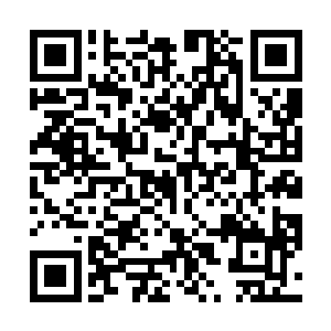 这里的物资竟然不比大风国家剑蝶基地的仓库物资少呢二维码生成