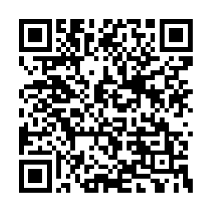 这里的环境不会是由当初那个星空兽所造成的吧二维码生成