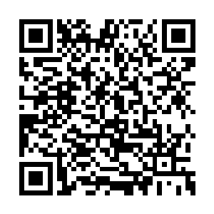 这里的解石机都是免费为购买了毛料的人提供的二维码生成