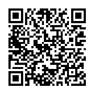 这里的防护大阵虽然不如自家的九重天变化莫测二维码生成