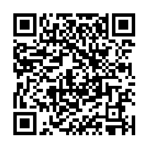 这里确实可以让那些天才们以最短的时间获得界之力量二维码生成