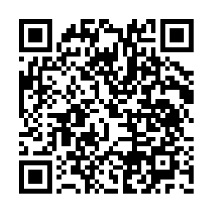 这里距离刺刀所指的位置还有足足五百米的距离二维码生成