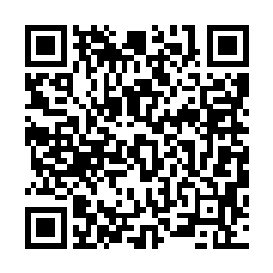 这里边的有一些人上和重山集团和米亵衣的查爱思都有交集二维码生成