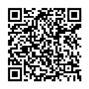 这里还是有仙家把神兵作为本命武器炼入体内的二维码生成