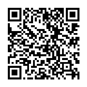 这里需要其他人的帮助当然不是其他两个势力的人了二维码生成