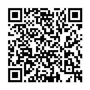 这里面叶青直接征调指挥主力的三百个各脉仙人二维码生成